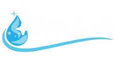 BreeLyo